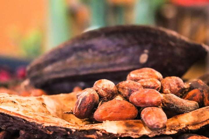 Les bienfaits du cacao sur la santé
