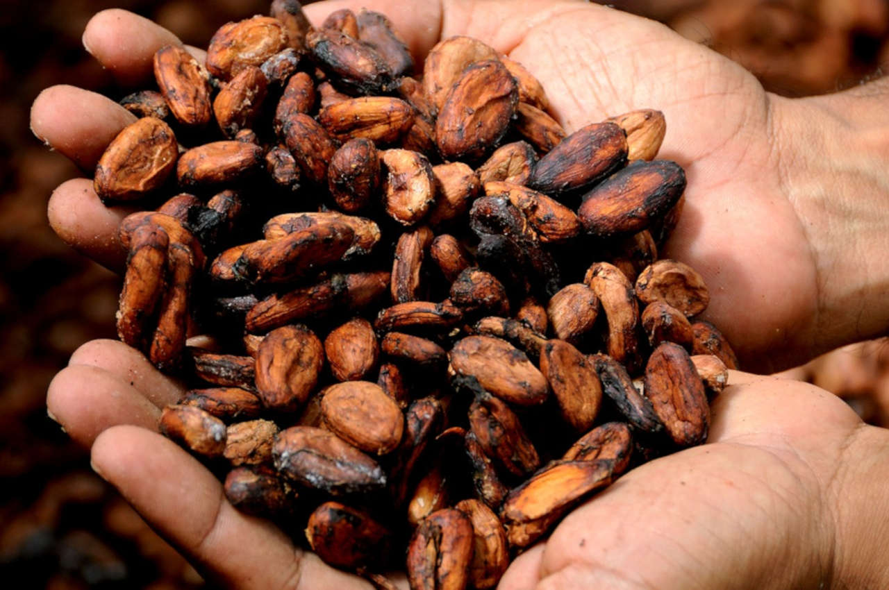 Comment faire votre propre chocolat?